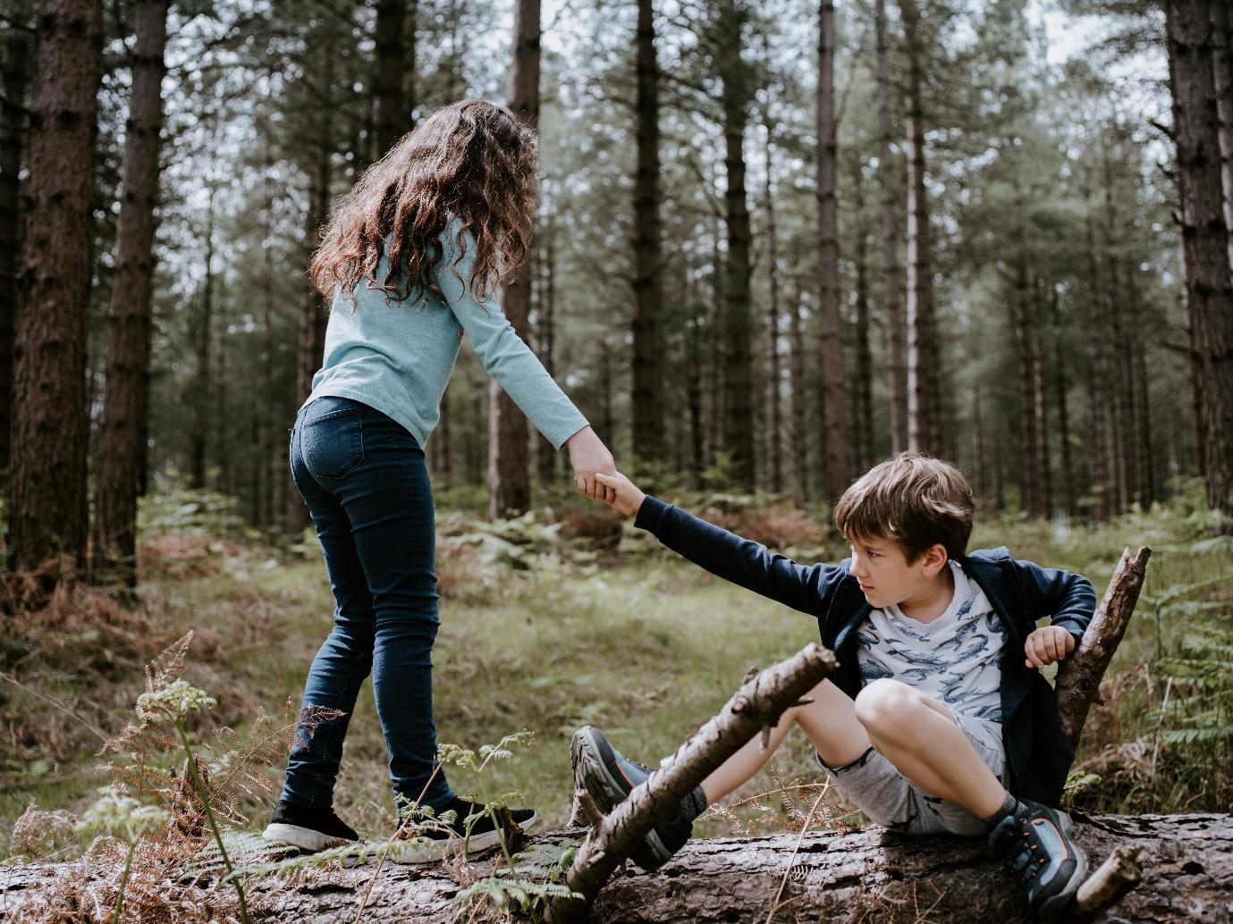 A person in a forest
Description automatically generated
