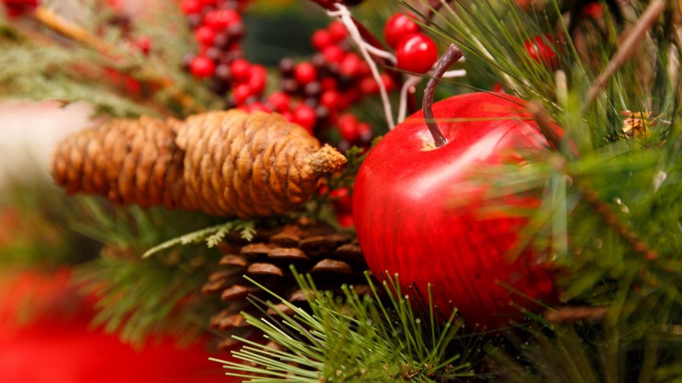 A close up of an apple tree
Description automatically generated
