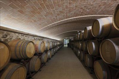 Wine Estate Sarteano, Siena, Tuscan wine cellar