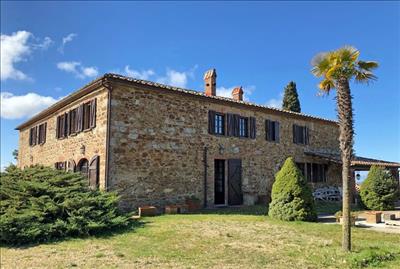 Abode Italian real estate, Le Capanne, Trequanda, Siena, house and palm