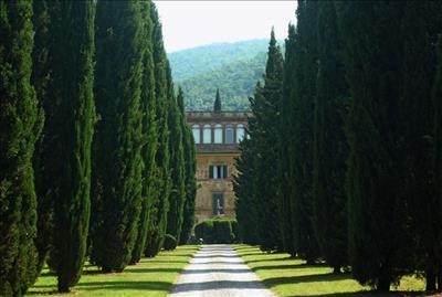 Abode Italian real estate, Villa Fontana, Cortona, Cypress lined drive